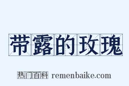 带露的玫瑰是什么意思的图片